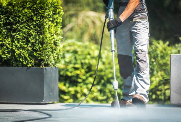Best Roof Cleaning and Mildew Removal in North Hudson, WI